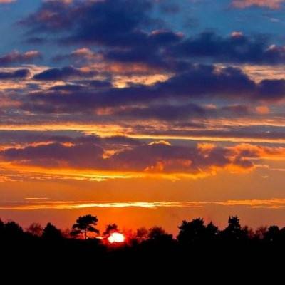 博鱼·(boyu)体育官方网站